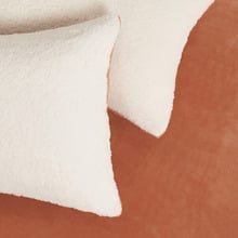 Berryl Teddy Sherpa Velvet European Pillowcases (Set of 2)